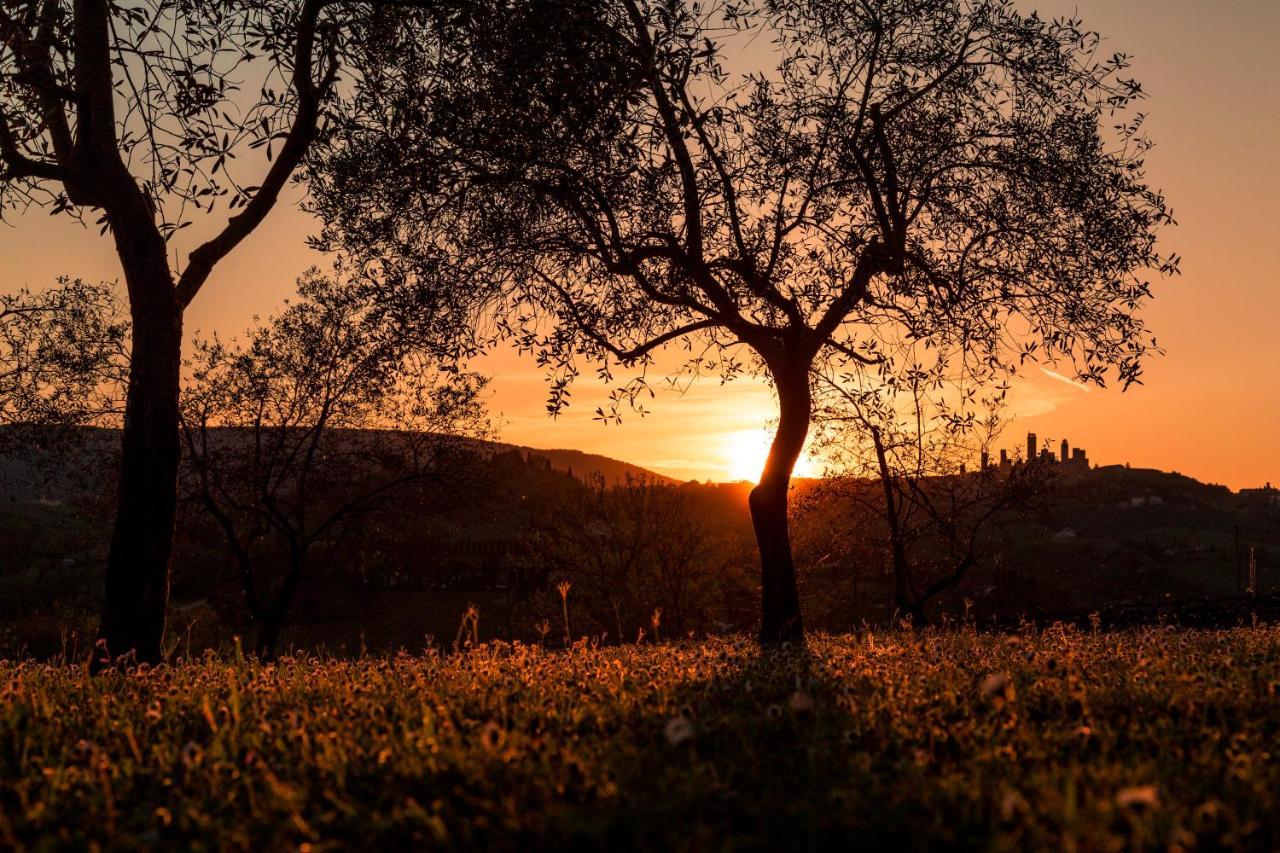 Villa Agriturismo Il Segreto Di Pietrafitta San Gimignano Exterior foto